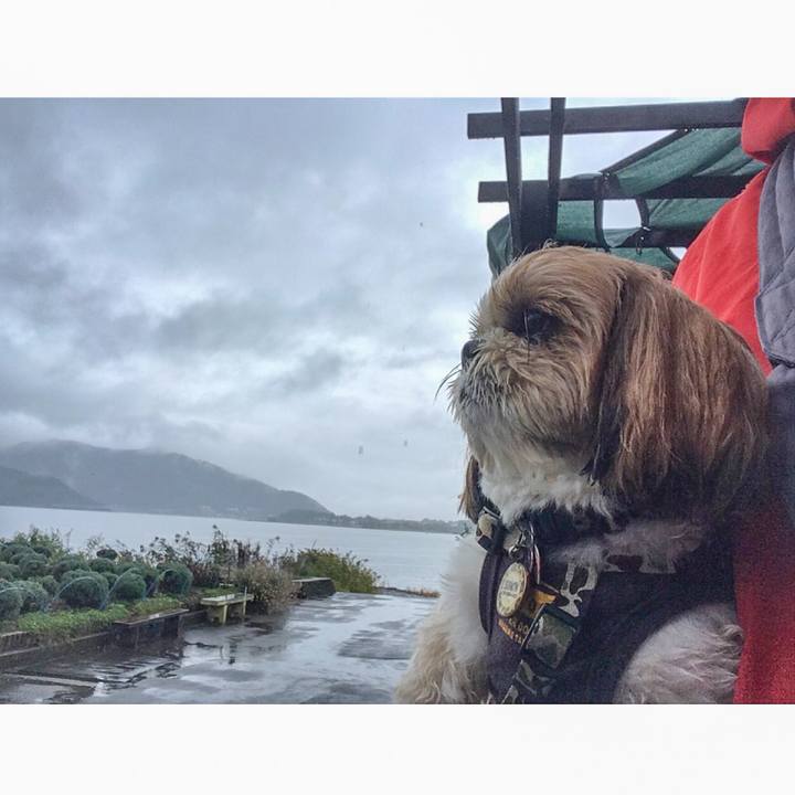 918e2116 6e8f 45aa b715 3e8dd6f2821d 1508083691866