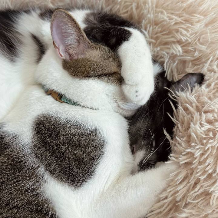 918e381c 4416 4afb 8b1a 7155a25d202b 1770882208010