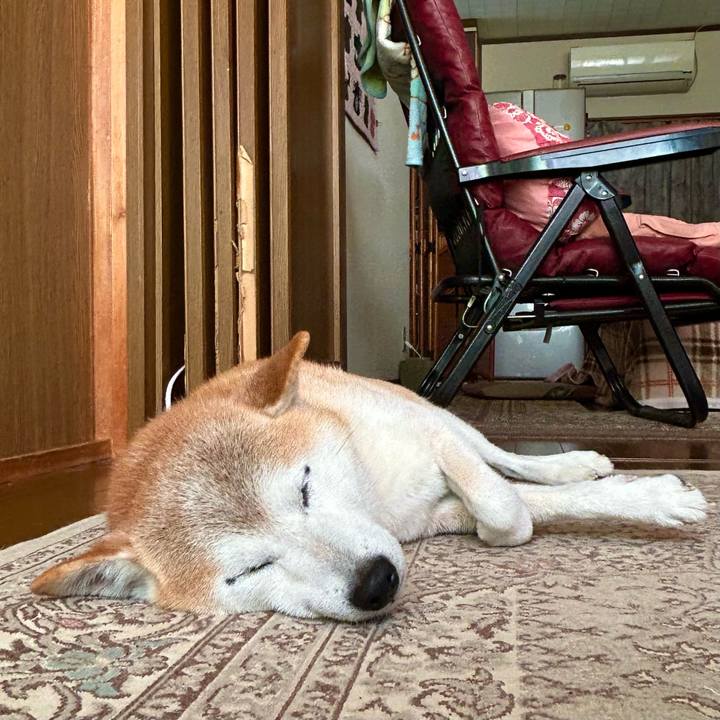 918e3861 98cb 4901 9a78 9c7cc3d77f34 1760005863550