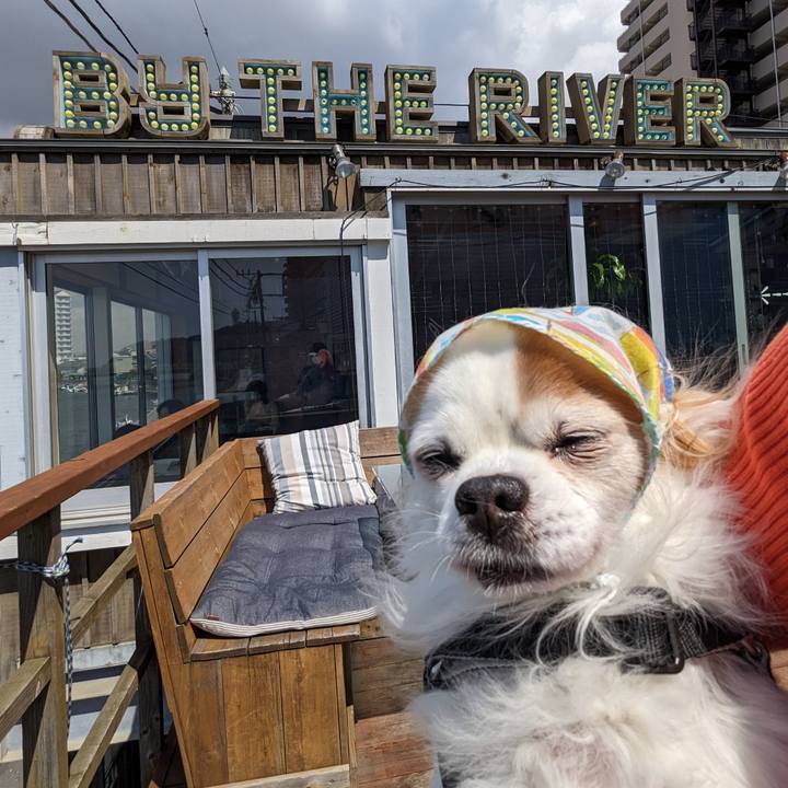 918e3f3c 8d05 49c3 8b46 67cf34f9c142 1680145760156