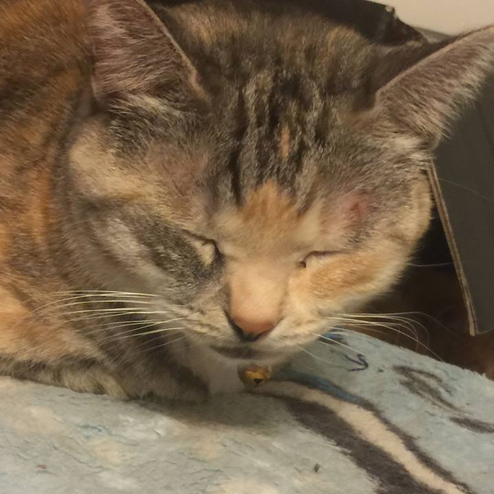 918e4b74 f8ae 4cba a2ef 5776c711135f 1547477237983