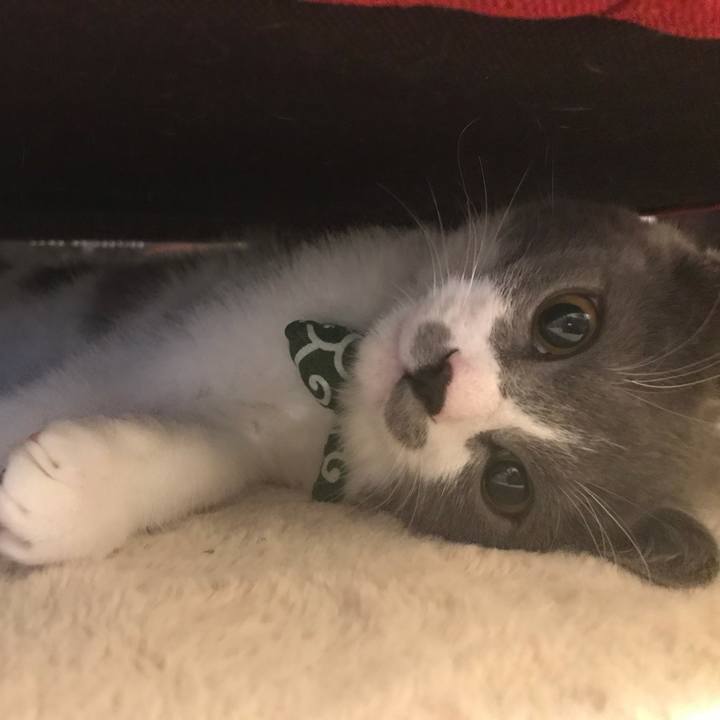 918e59d0 dc35 48f6 ab4f 4177aa4c863f 1623323098979