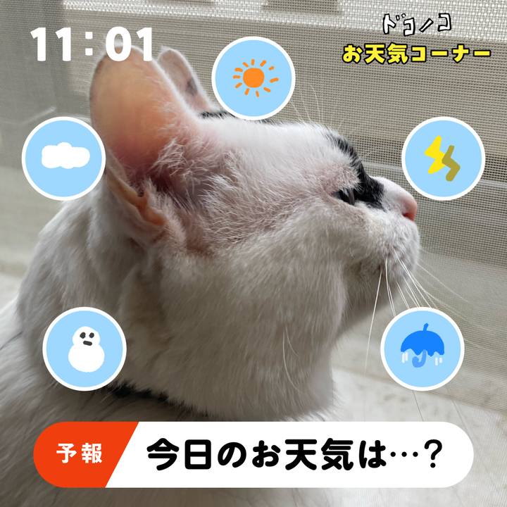 918ed912 66d7 4e6c 9fcf 0cf709e22ed3 1781828416561