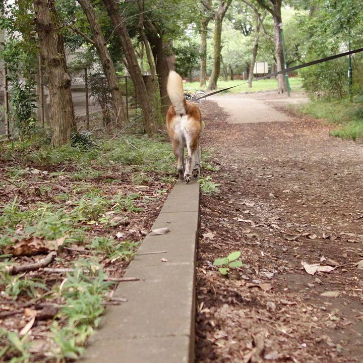 918ee18a e1ad 4ed0 b1b9 d17bc1d704a9 1678237051110