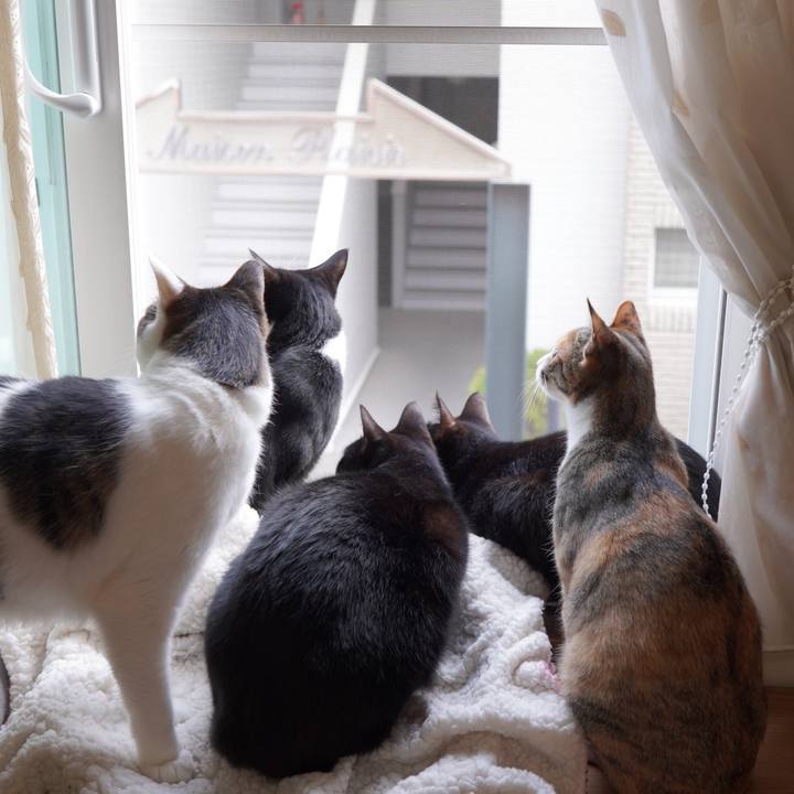 918ef789 b620 4a79 bb36 7e859f2509b1 1587480946686