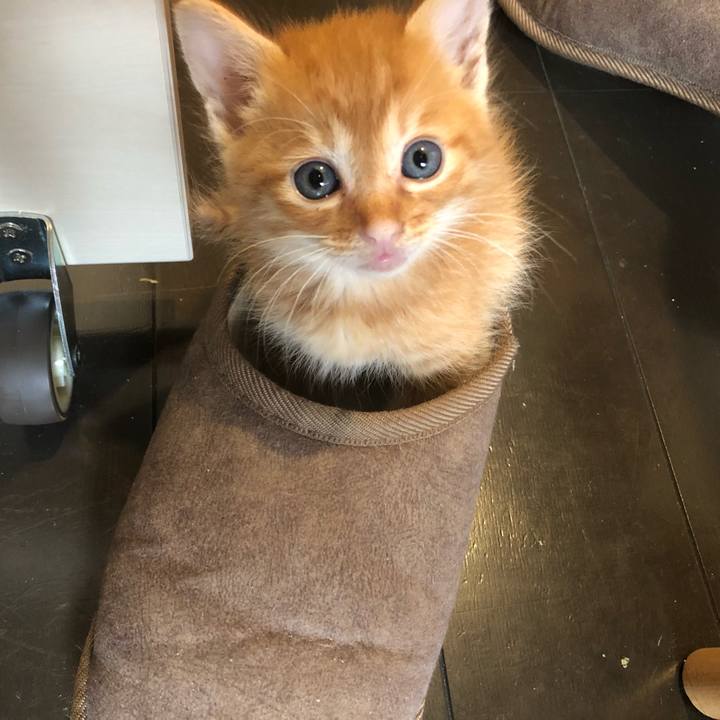 918f02d8 36c2 4607 8c1d 49e2a3289558 1628324879587