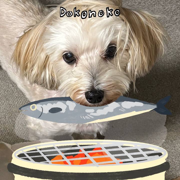 918f36ff 0ec7 4303 8b28 0d25b7eccfc3 1761163120807