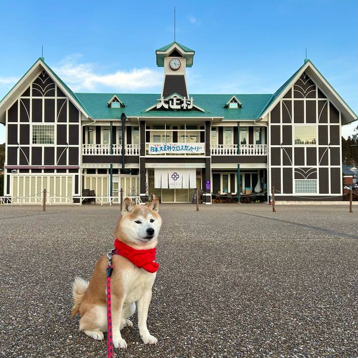 918f67f0 3526 4cd9 88cf 13356816590d 1740825774352