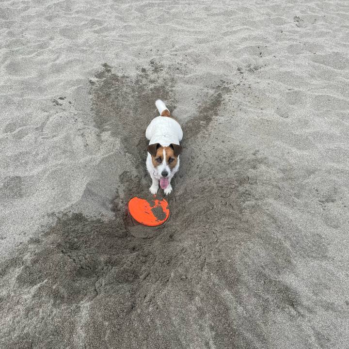 918fae4d 6eec 4519 93fb 9b2f6b5154ea 1724196014964