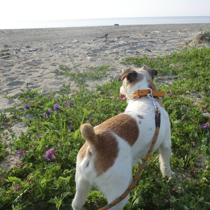 918fbb67 28da 400f bb30 e430d513ef7a 1557143047900