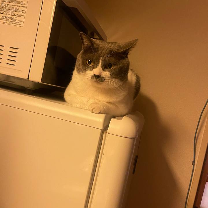 918fc177 9464 45ff be20 84517740e622 1728041442800