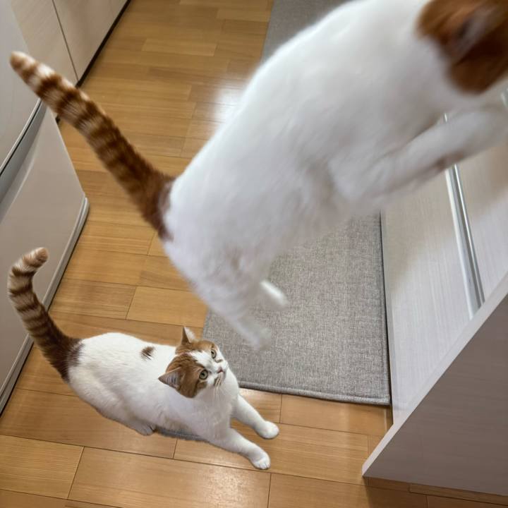 918fc183 8d55 4c75 8691 1be3275ffa5b 1773369221241