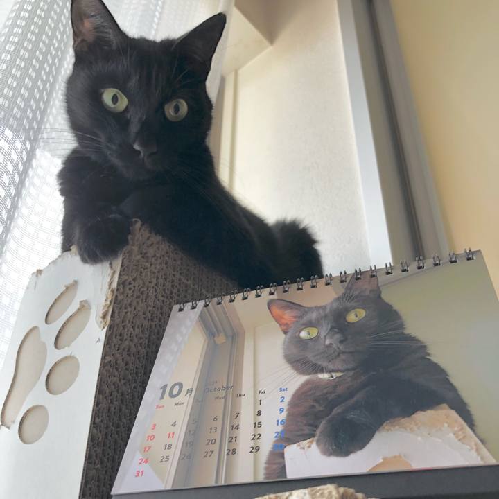 918fde4d abd0 4cd5 bb93 b49d6b349a5d 1634821674337