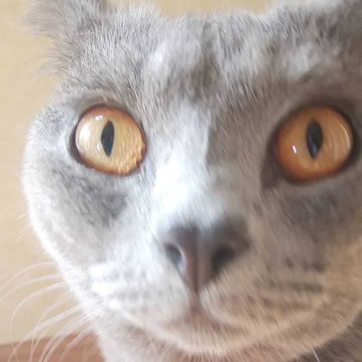 918fe052 d7f8 4995 9ece 598724582fd9 1536373338198