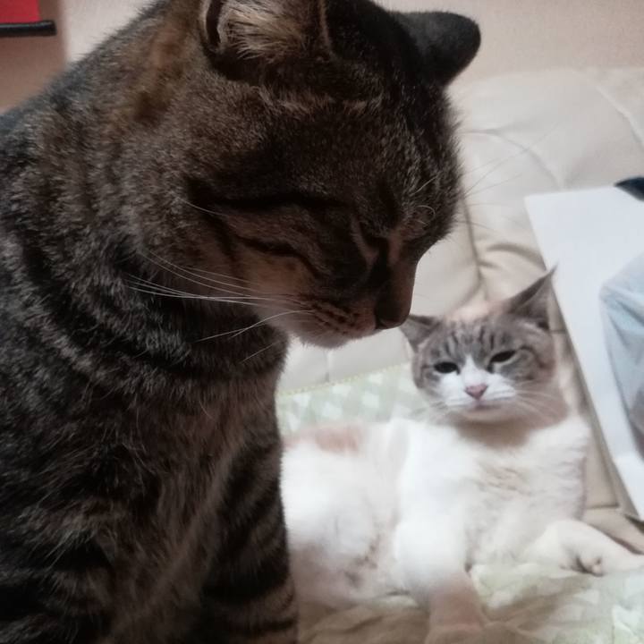 91900998 308d 497f b6ea f18b311cbeb3 1546945630028