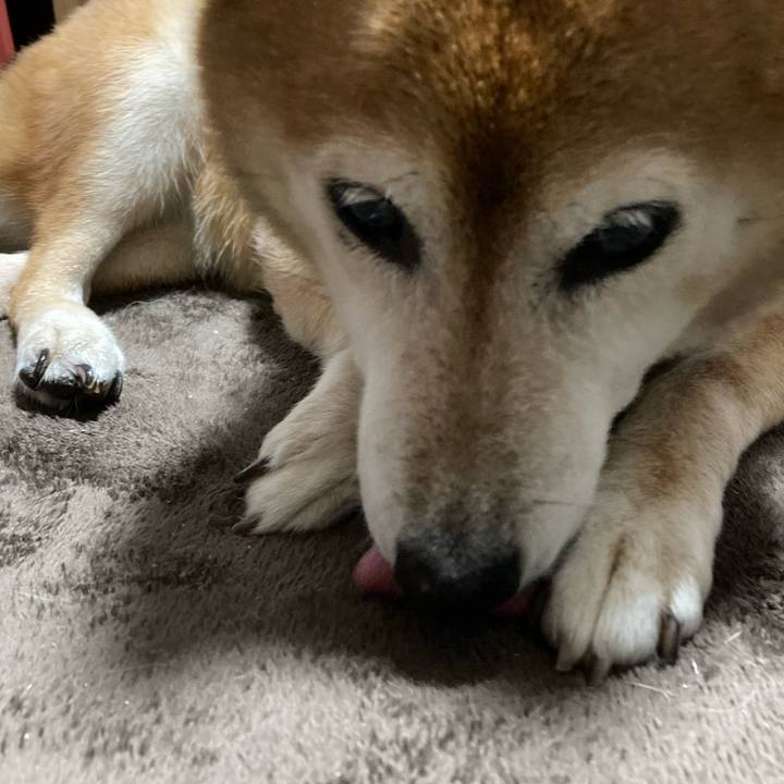 91901be0 4438 42a5 9b60 a50c4afc9a0b 1698063177159