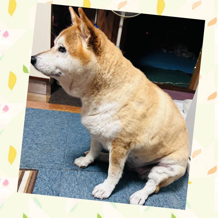 91906262 da64 4701 9b19 5e8d59055125 1727694279469