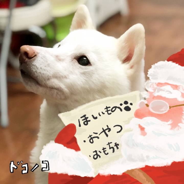 919070be f363 4f96 8057 571d4e439b43 1731375041603