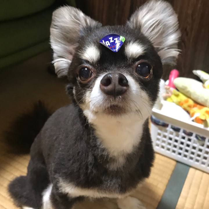 91908b9b f420 4b57 8a63 90936bdb1747 1593514298756