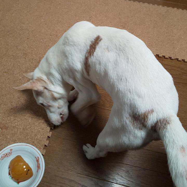 9190c45f ecbc 4b60 a4df ad451df7d6b1 1561155713230