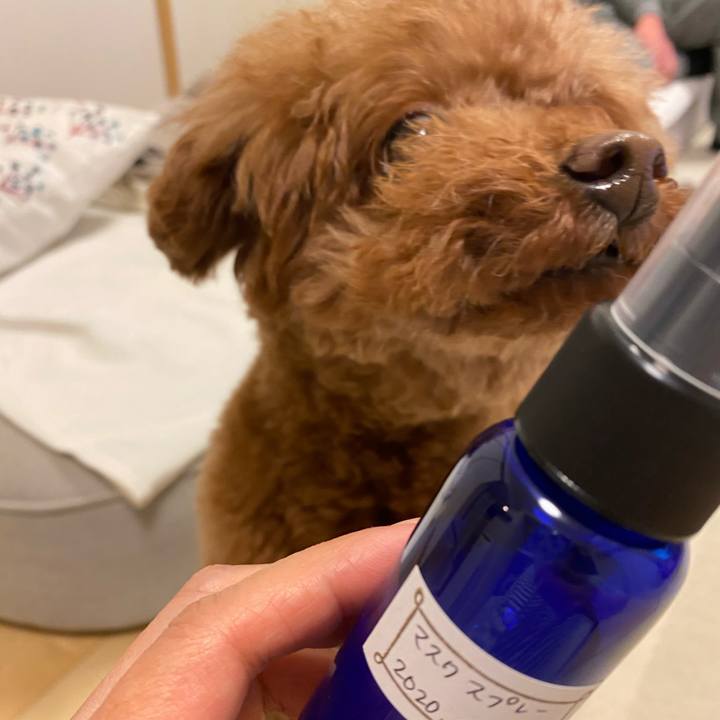 919107fe 6bfd 452f 9b2e b6cf7a1cb897 1587361783707