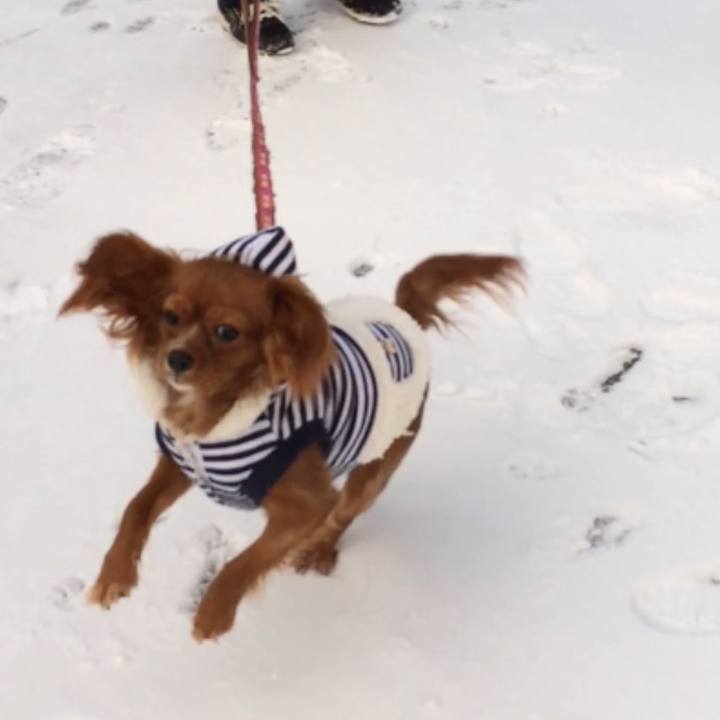 91911270 0327 49e4 9ff3 e9e0496e3f89 1515190164423