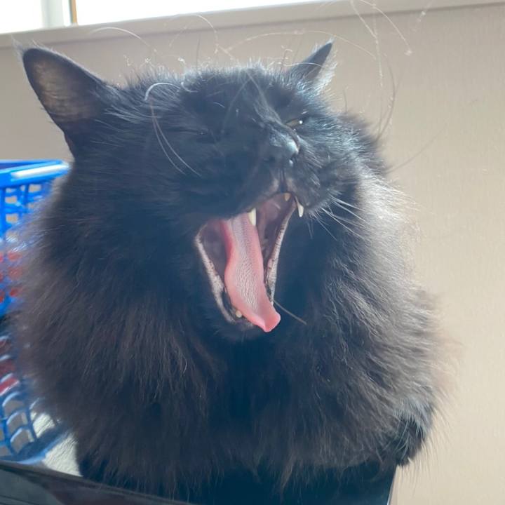 919112d7 a4c0 4e8f 8d35 cff9d45ad280 1576848284031