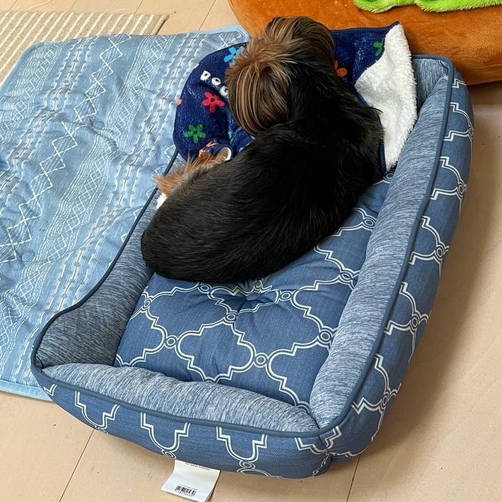 9191306e cf94 4709 a419 445988842095 1720424535339