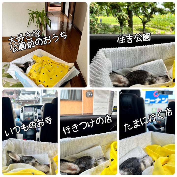 919131a8 d97e 4b48 ada3 53c966d08a28 1659689234827