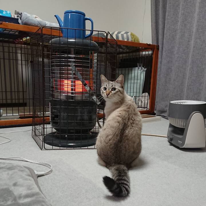 9191b83c c25a 4ca9 87ef ba9c39481483 1606569387415