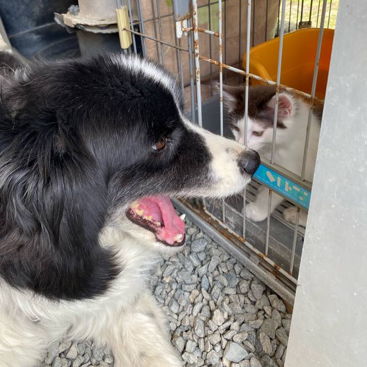 9191ec1b 047c 4120 a862 c908854da287 1687407878241