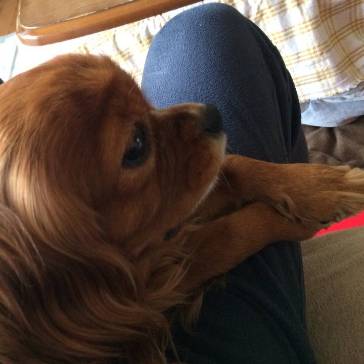 9191f2e4 0427 410e b658 e5fbd3c6bf3d 1616560056299