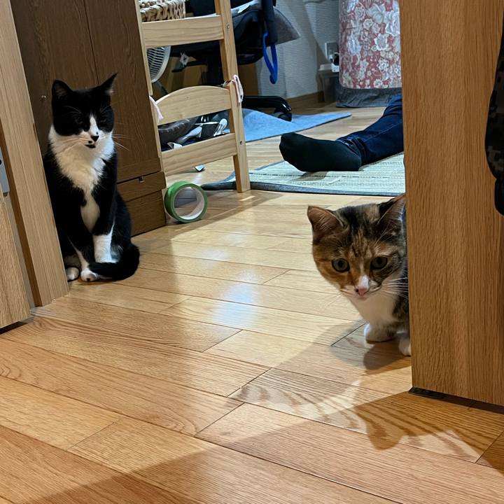 919203c4 4afe 40cd b8cc ea5ebde77d21 1659170782706