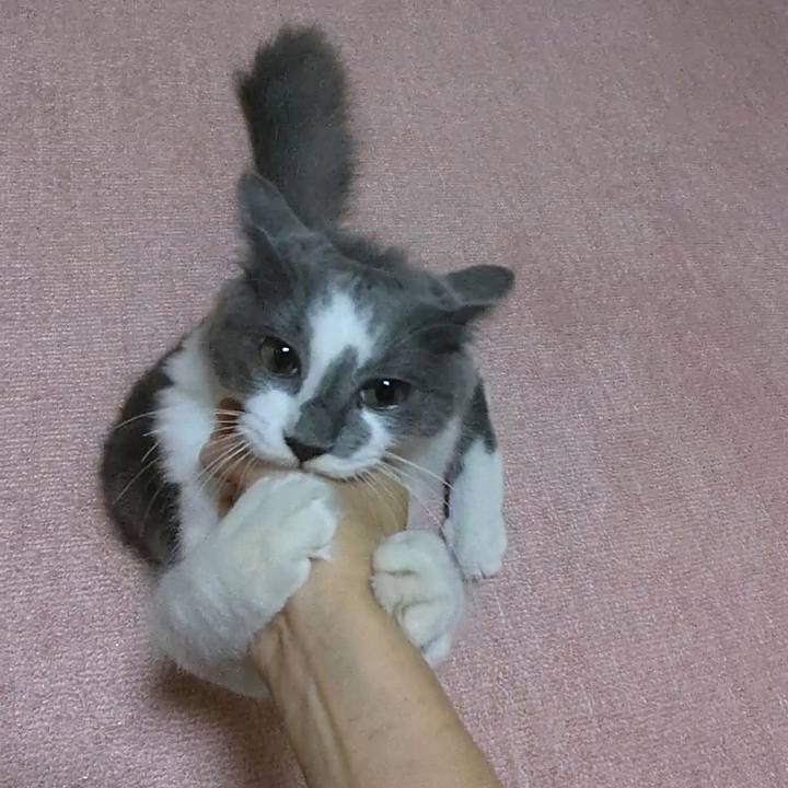 919205d8 bdd3 4234 956b 6181b802ba17 1570703880632