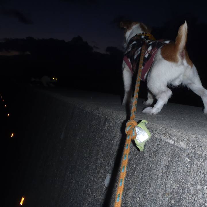 91920898 bebc 4825 91a7 f2168c605321 1512557738623