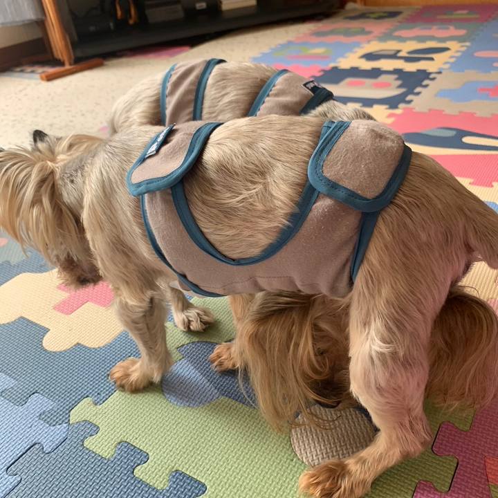 919211ec 0daf 4e75 9a0b 278ea13df752 1693821350495