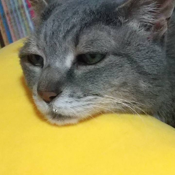 91921667 5aa2 45e0 9b46 fb0e067d3e50 1686567195877