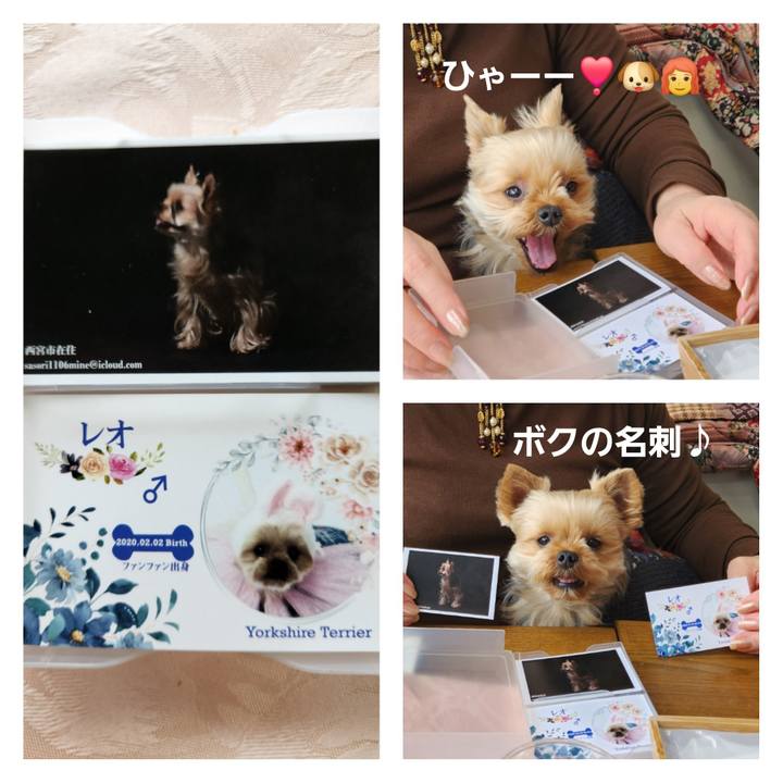 9192739b 9210 47e4 8932 6d32910413b6 1709823574282