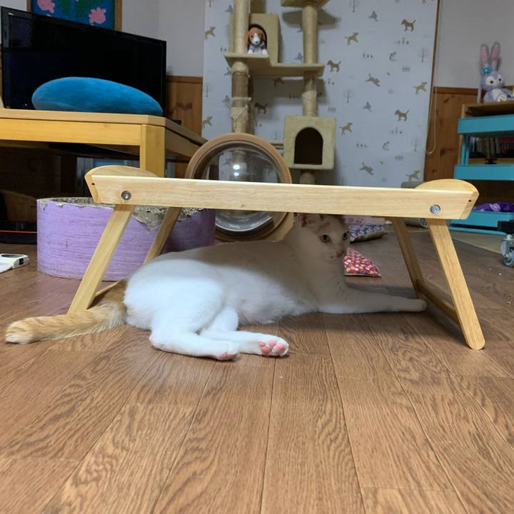 91927ed0 2b7e 45a9 aaf9 b860b67ad57d 1619266836270