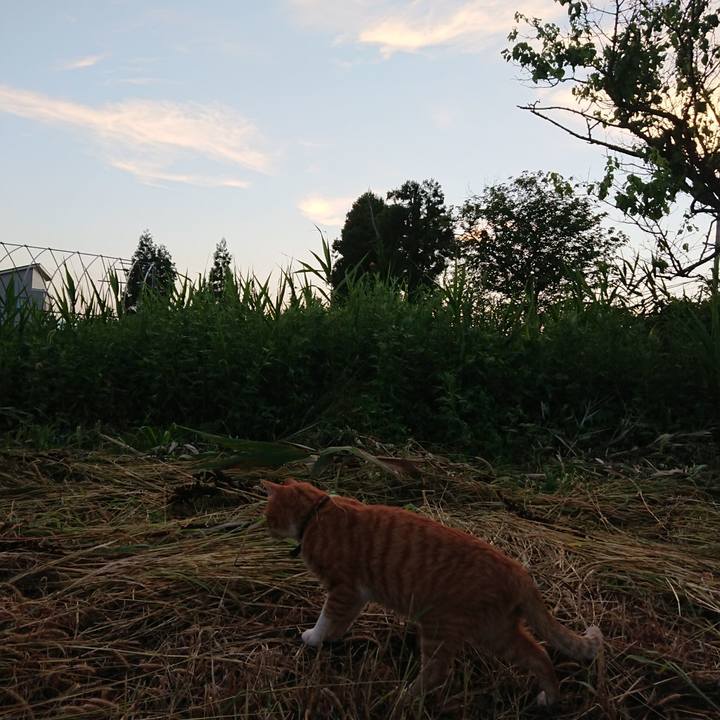 9192bde8 6e3f 47d4 b381 15c54aa7b5b9 1566035150936