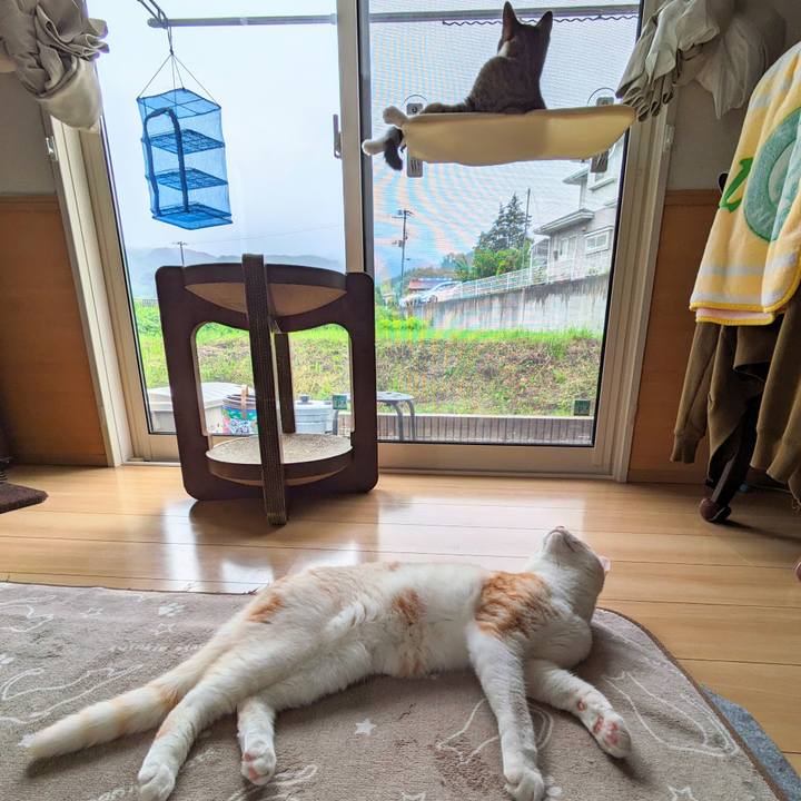 9192f841 013f 4177 8e19 ccfb8928a247 1686699235409