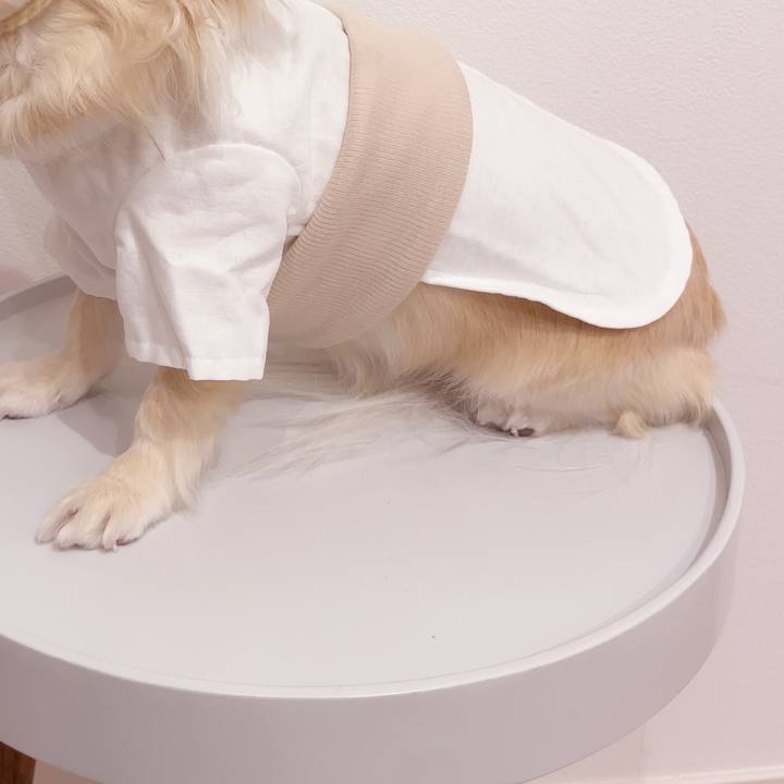 91930031 4b37 4e70 8249 e579437b586d 1744017011099