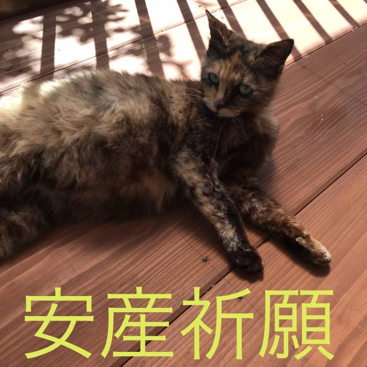 91932b32 8b2b 4fbf bba0 85fdf1caa8c9 1730225844650