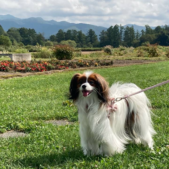 91932e11 7c11 4df3 8e3a 14b67fd92ba6 1631323623040