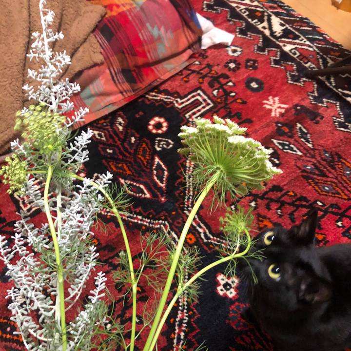 91937699 efe5 4903 ab3e 23118f1dbcd2 1576759243988