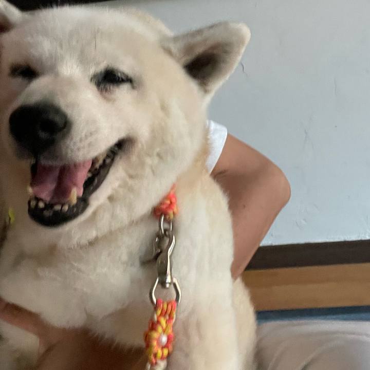 9193961b 4646 4f49 ab48 736f3954f63e 1726135647913