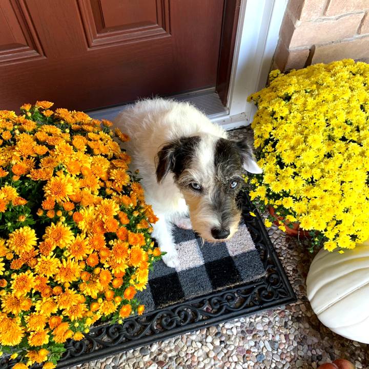 9193b456 6c6f 452e ae62 66de5dd86ed4 1602973037636