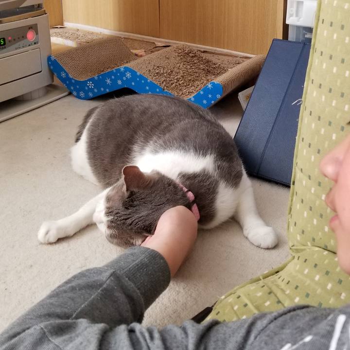 9193e447 6a4a 4374 a5cb 81fbb1ba9d53 1581428085492