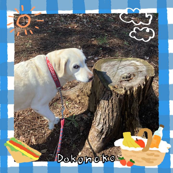 9193e4df dd1c 4ee0 8cf4 ff95f7ba2d3c 1744722175937