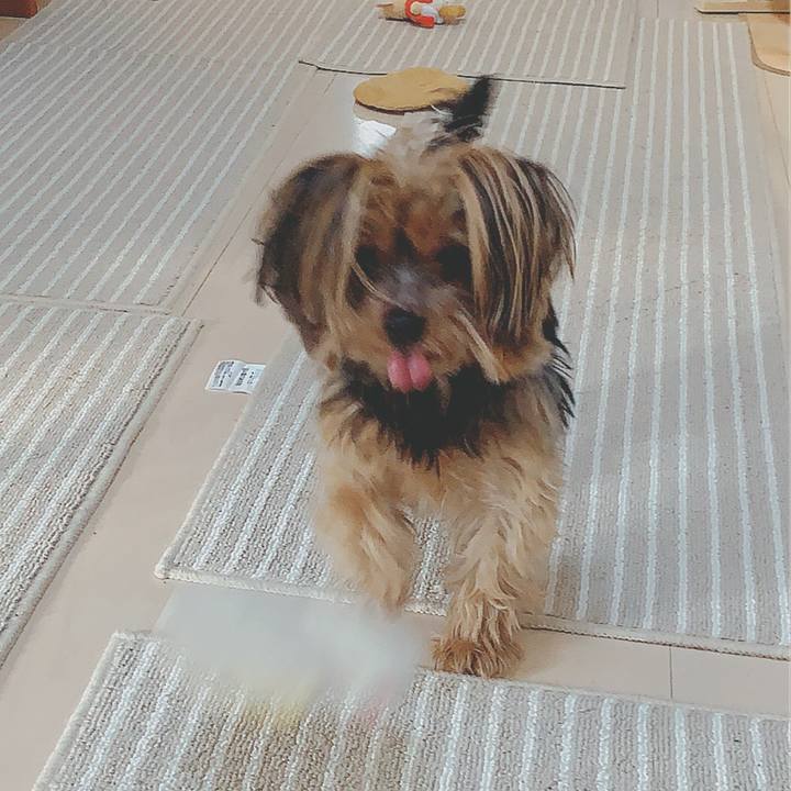 91941a40 9d82 4196 802f e28c8ee9f1a1 1581043267827